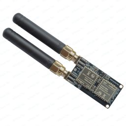 Flipper Zero Dual Frequency RF Module | 433MHz+2.4GHz